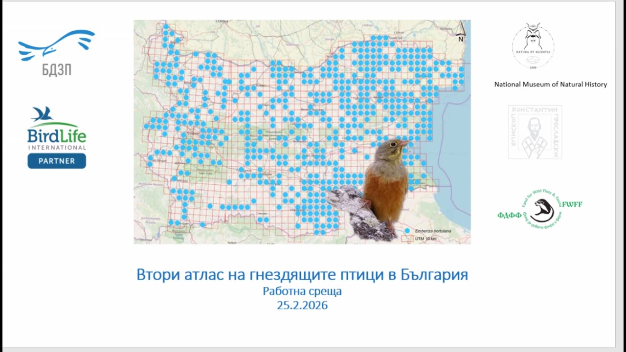 Работна среща – Атлас на гнездящите птици в България II