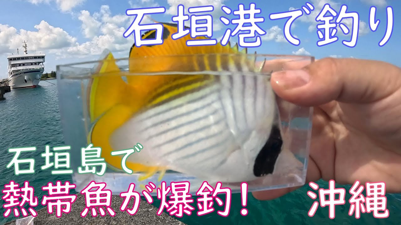 【海釣り】沖縄の石垣島にある石垣港で五目釣りをしたら熱帯魚が爆釣！【離島】