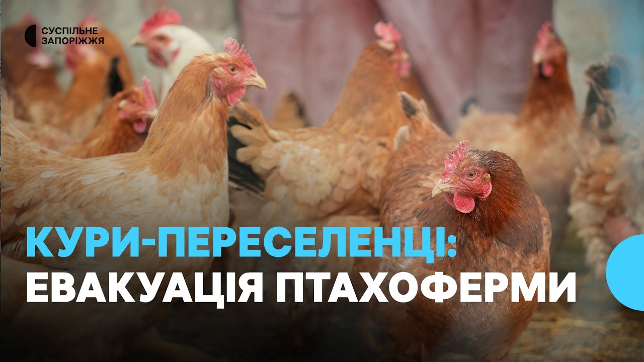Вдруге змушені починати все з нуля: історія багатодітної родини із Запорізької області