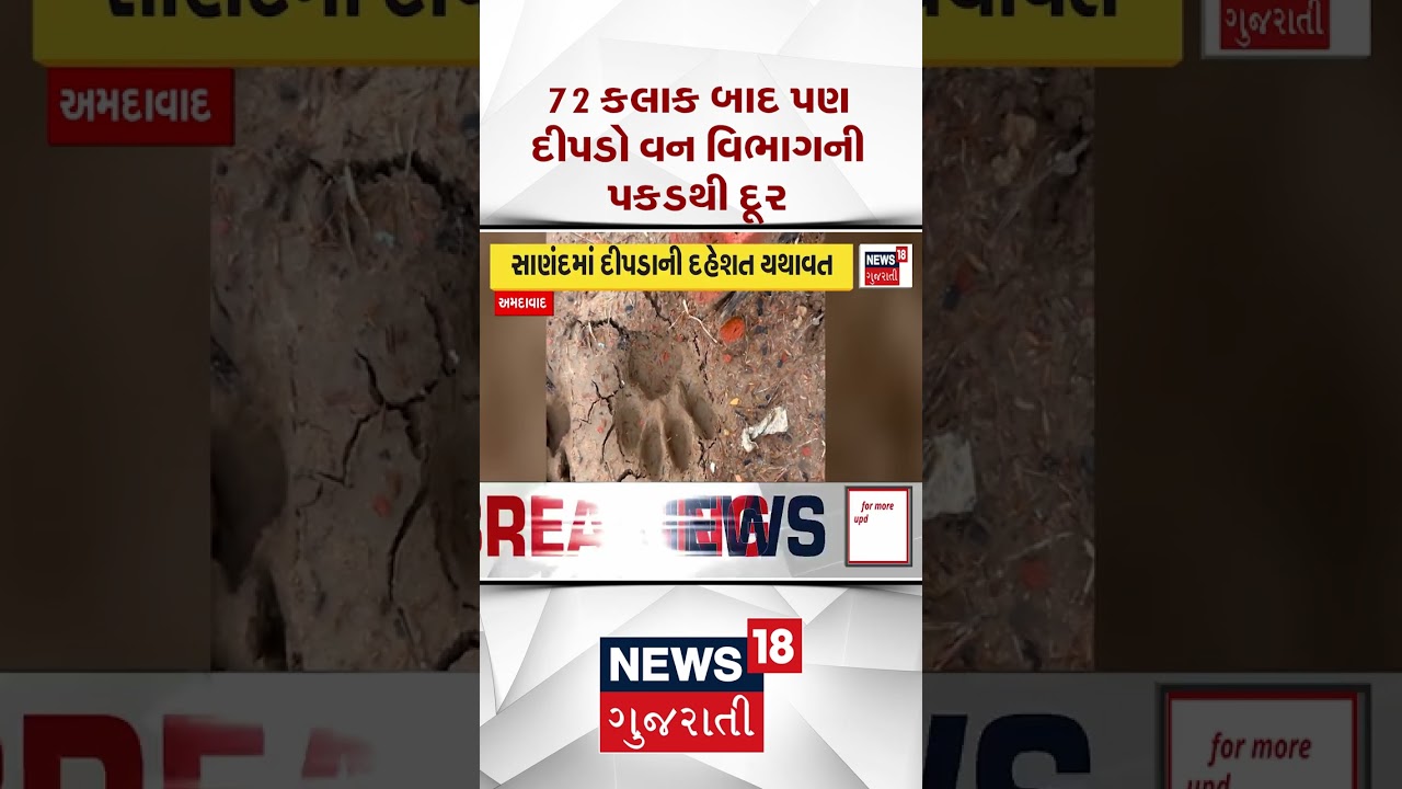 Ahmedabad News | 72 કલાક બાદ પણ દીપડો વન વિભાગની પકડથી દૂર | Gujarati Samachar | News18 #shorts