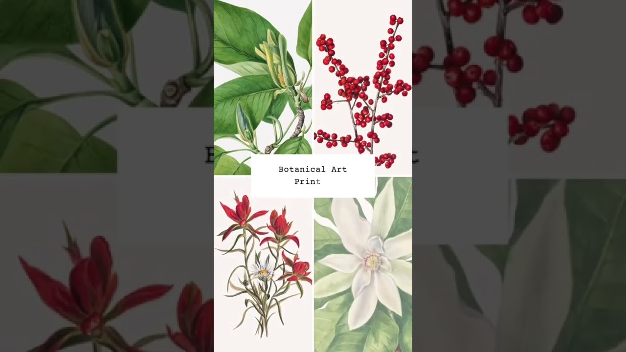 Vintage Art Prints | Botanical Art Print | Printable wall art | Home Decor | Antique Floral Wall Art