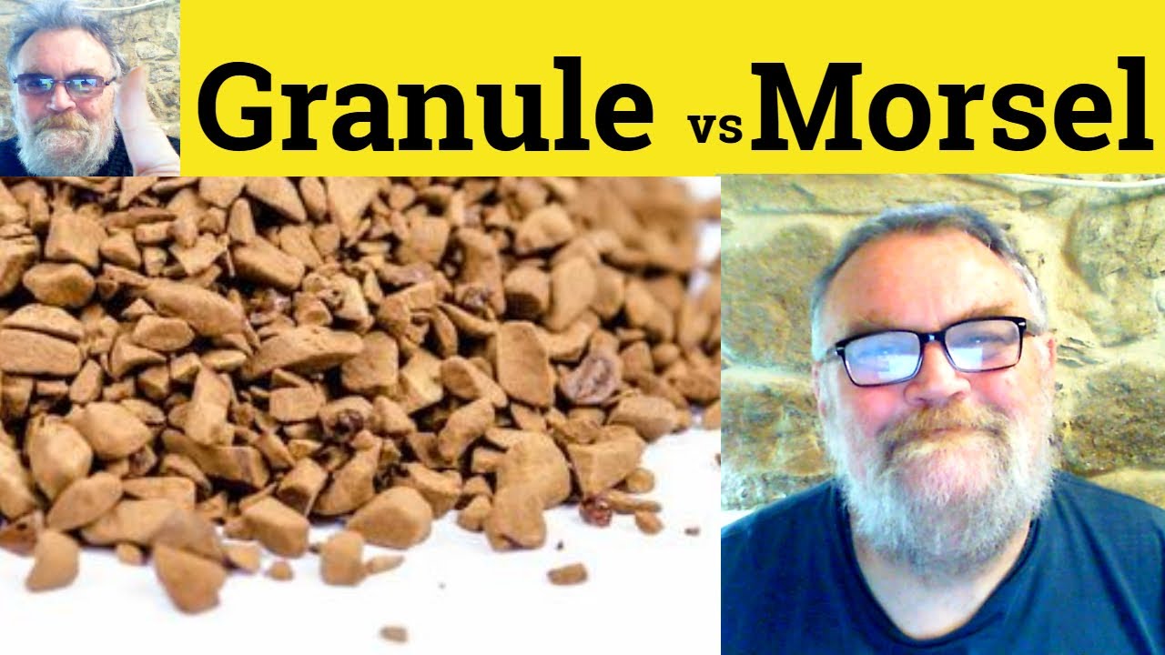 😎 Granule vs Morsel Meaning - Granule Definition - Morsel Defined - Granule Means Morsel or Granule