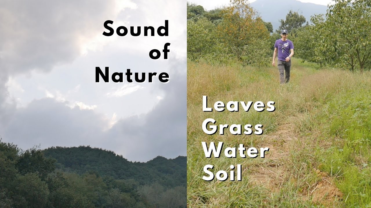 ASMR Country Mountain Tour: Sound of Nature, Leaves, Grass, Water and Soil (No Talking)