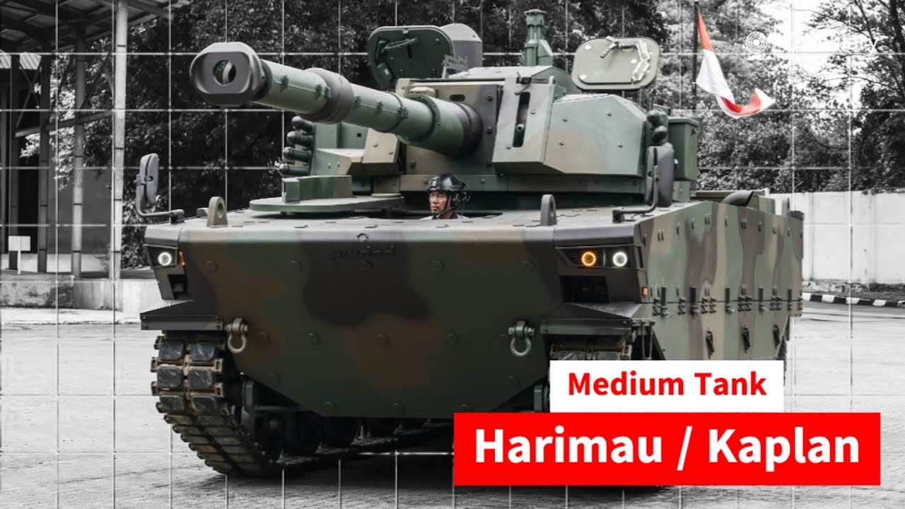 Harimau / Kaplan