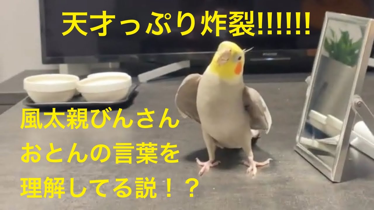 2025.9.02 インスタLIVEをお裾分け
