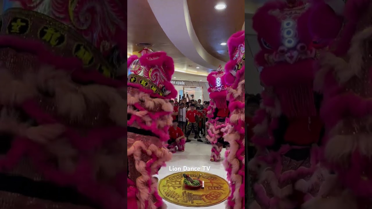 Pink Lions dance #lionsdance #chinesenewyear #liondance #舞狮 #barongsai #cny2025 #cny