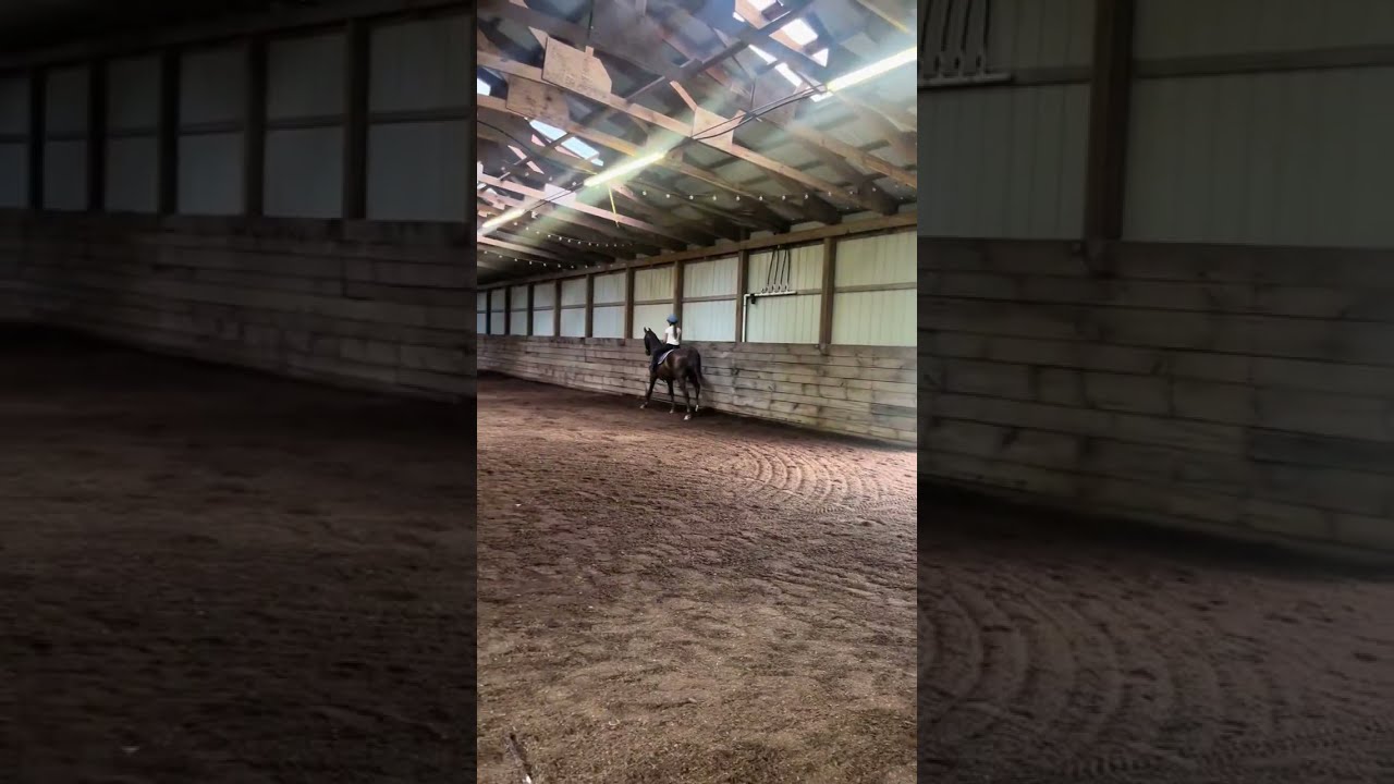 Horse Riding Training Inside an Indoor Arena#horseriding #equestrian #horsetraining