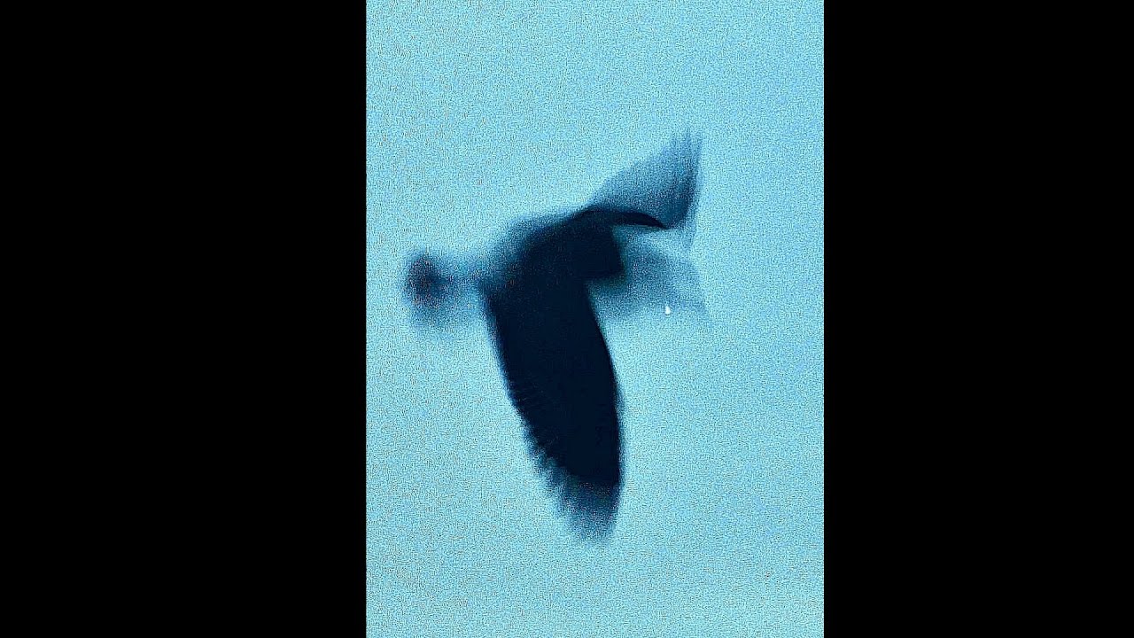 (FREE) Hamza x Dinos Type Beat 
