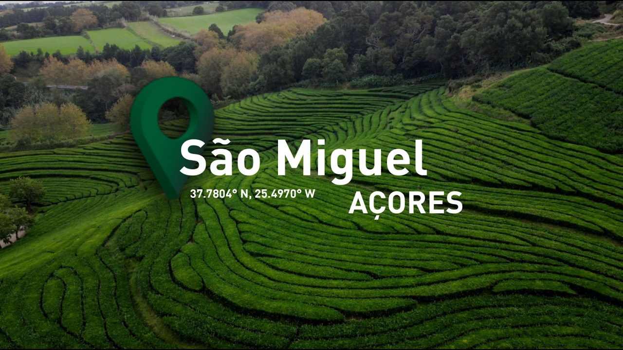 Vem estagiar connosco! #azores #activities #funactivities