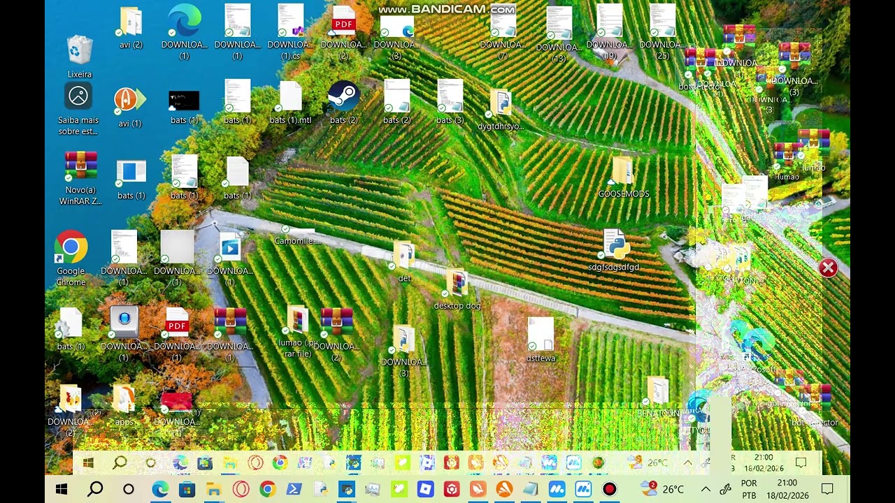 phyton gdi malware  effects testing 4
