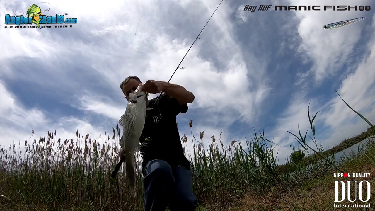 Duo Bay Ruf Manic Fish 88 AHA0011 Sardine - Sea Bass live strikes