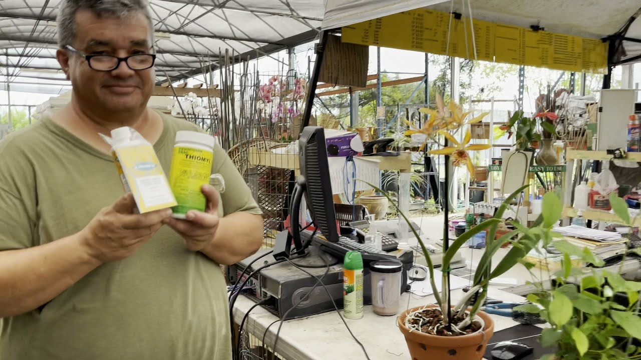 Сегодня в OFE, забираю свою мини-орхидею, нахожу новую орхидею, важную информацию о фунгицидах