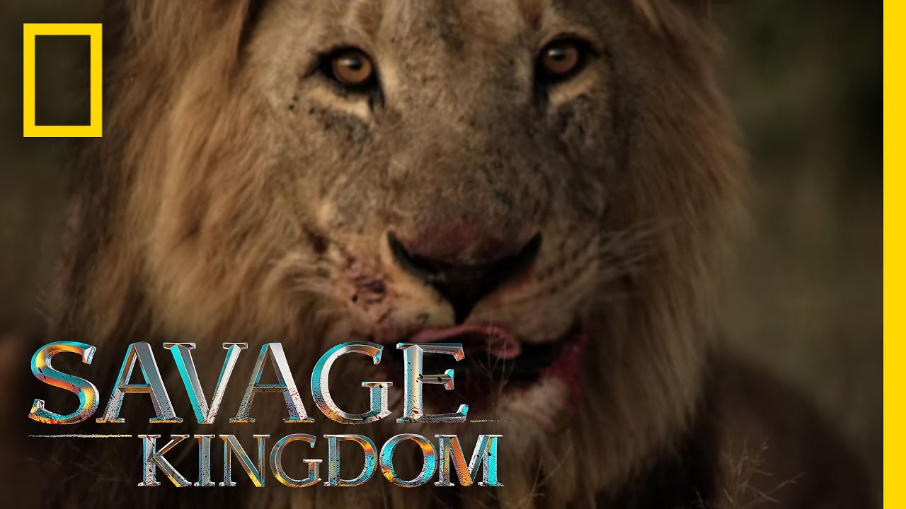 Sekekama: The Colossal King | Savage Kingdom