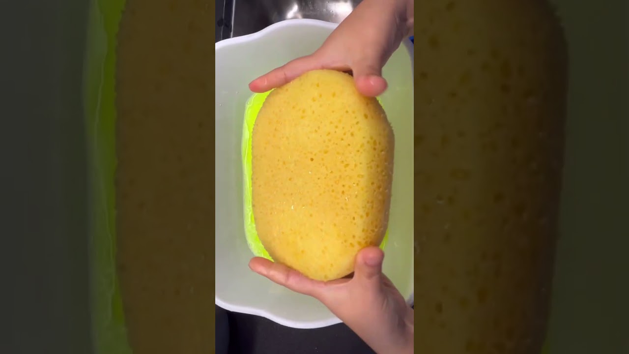 Pouring and squeeze mr clean 💚 #asmrsponge #spongeasmr #asmr
