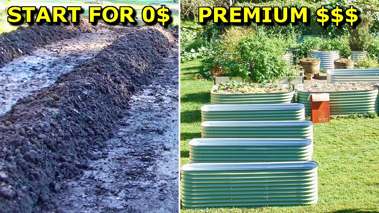 Start a Veggie Garden CHEAP &mdash; 5 Easy Methods Ranked