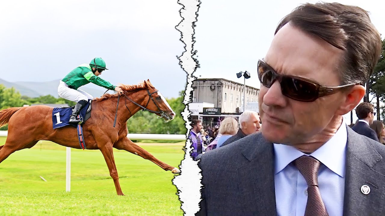 BENVENUTO CELLINI new Derby favourite