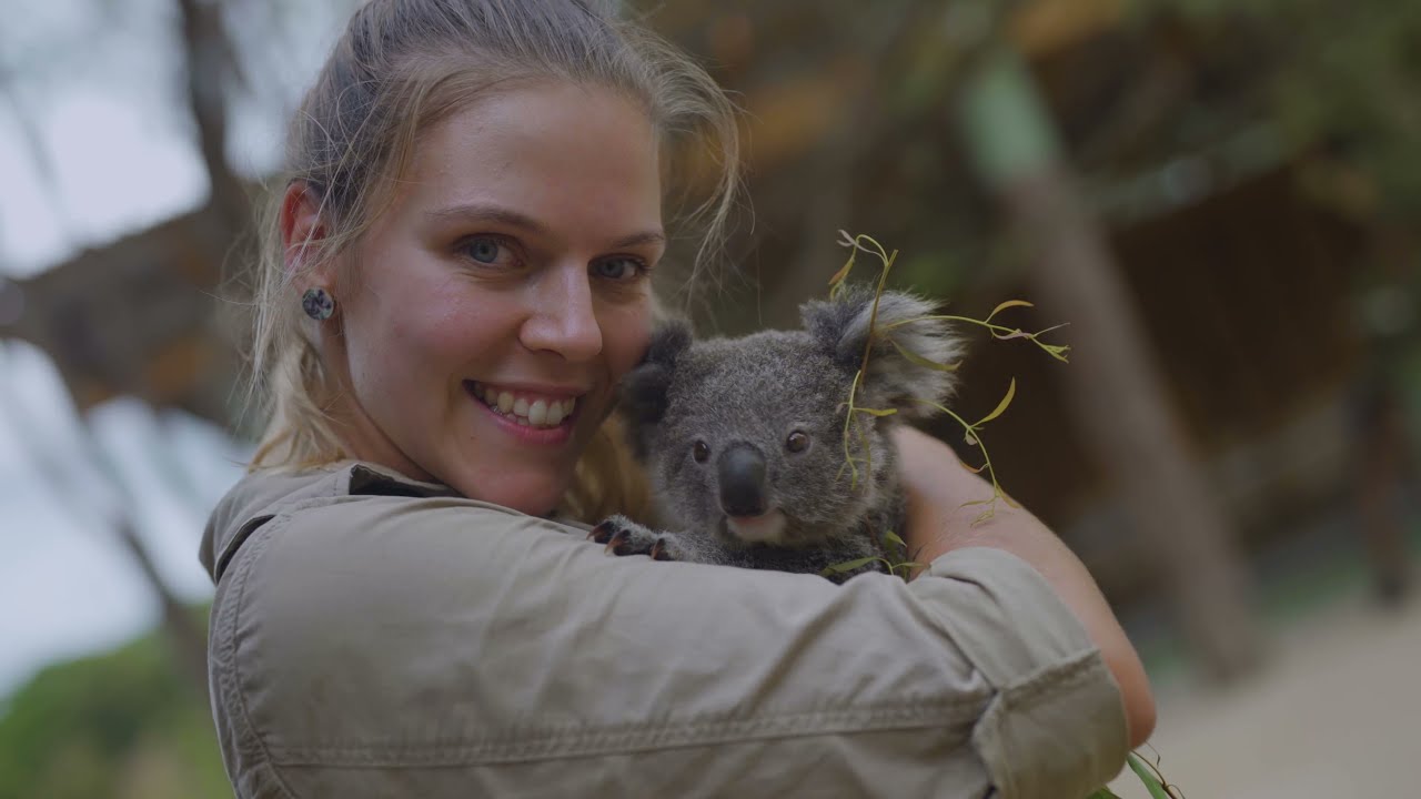 This little koala just loves cuddling his zookeeper