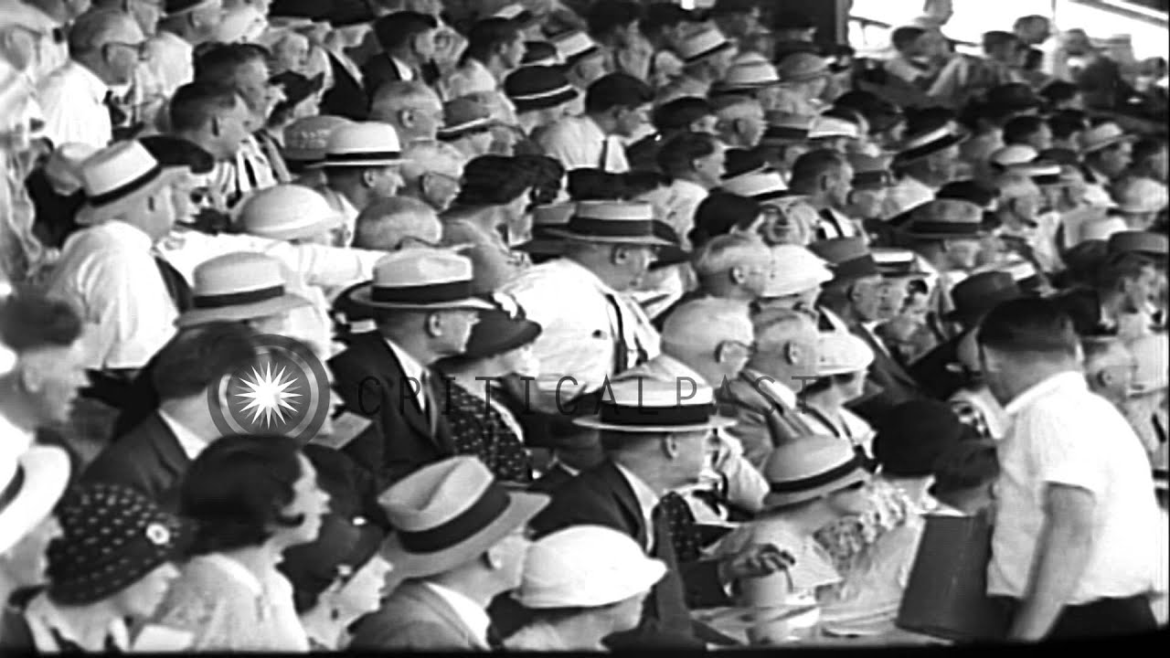 Mary Reynolds, a filly of William Reynolds of Winston-Salem, North Carolina wins ...HD Stock Footage