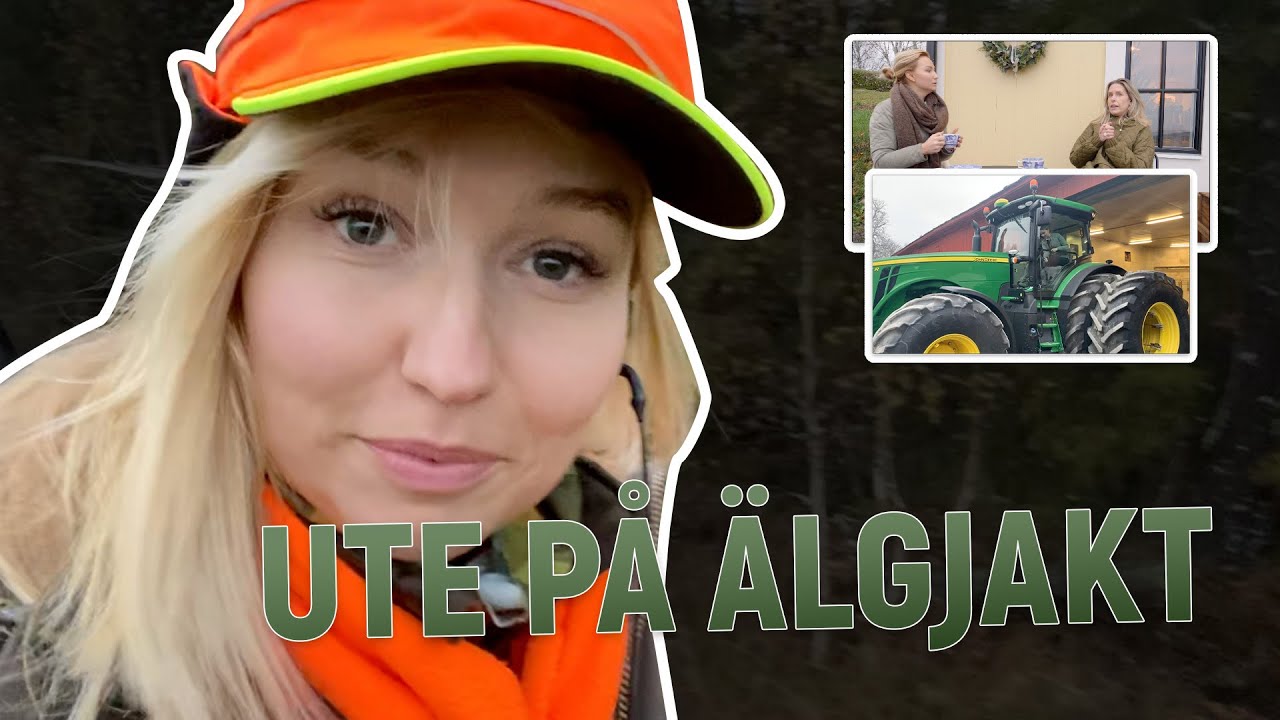 Får en hundcrush | jagar älg och åker traktor