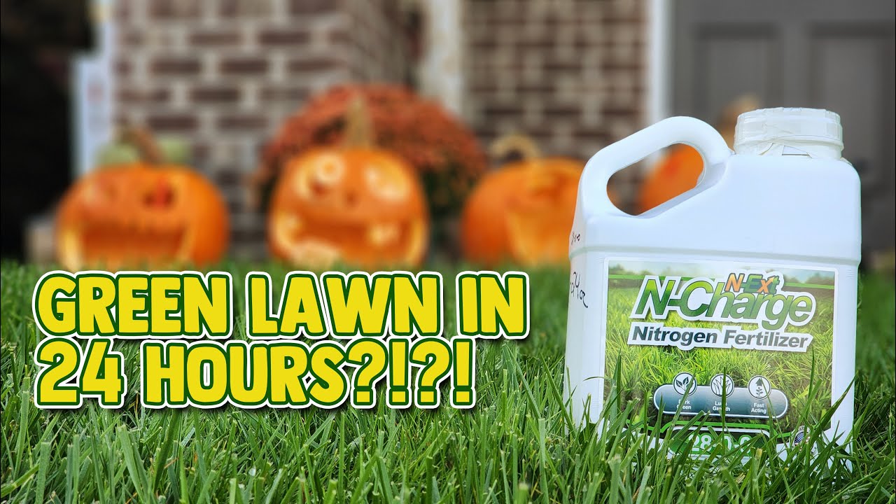 24 Hours to Your Greenest Lawn!
