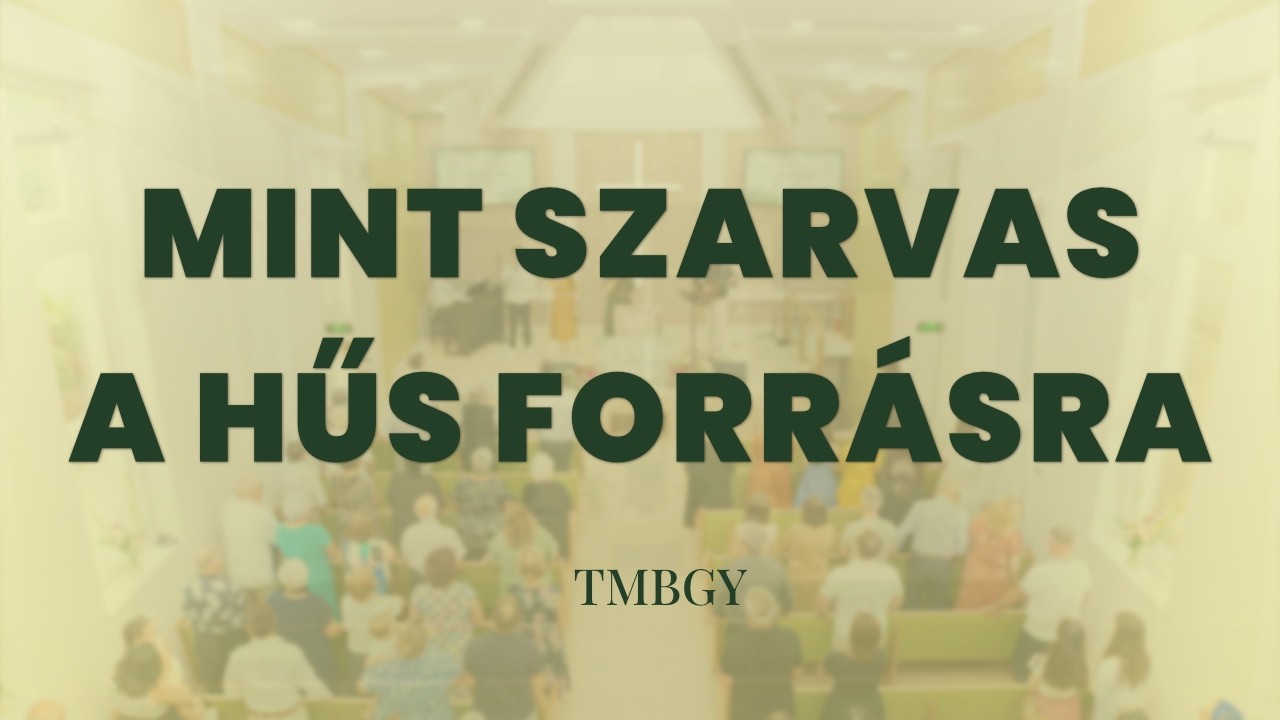 Mint szarvas a hűs forrásra - TMBGY