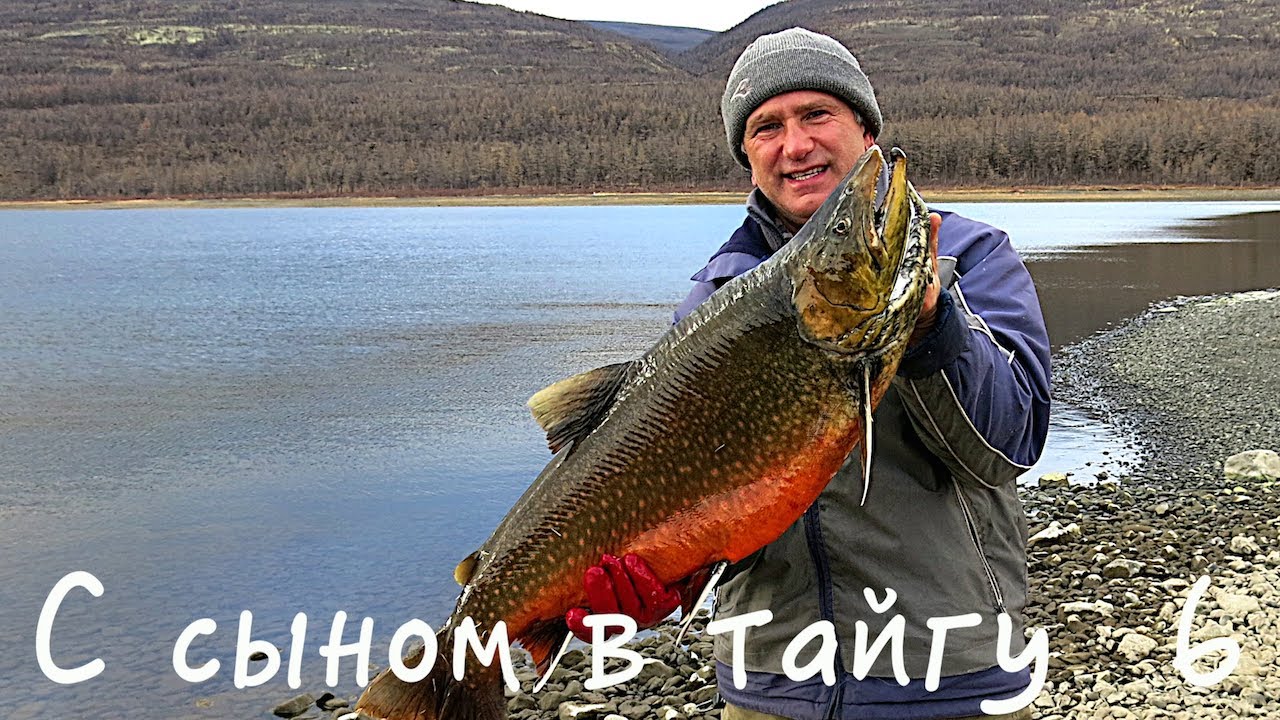 С сыном в тайгу 6. Плато Путорана 6 / Bushcraft in Siberia / Сибирь