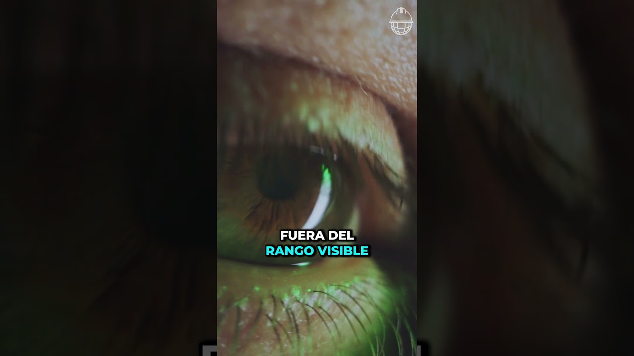 &iexcl;FUEGO INVISIBLE! El combustible de METANOL &iquest;Muy peligroso para su uso?