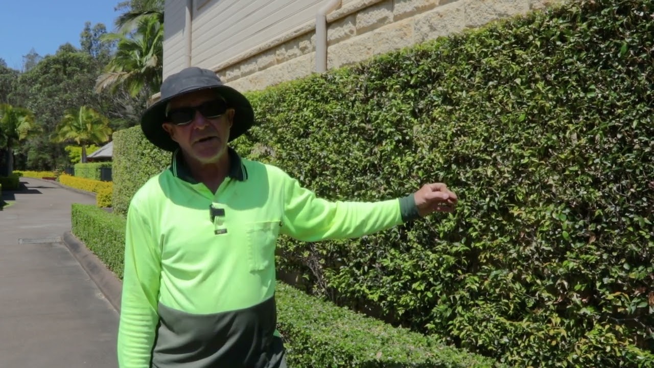 Correct plant selection