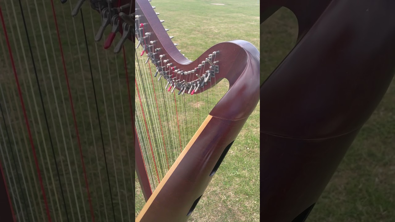 Harp air harmonics #harp #lyonandhealy