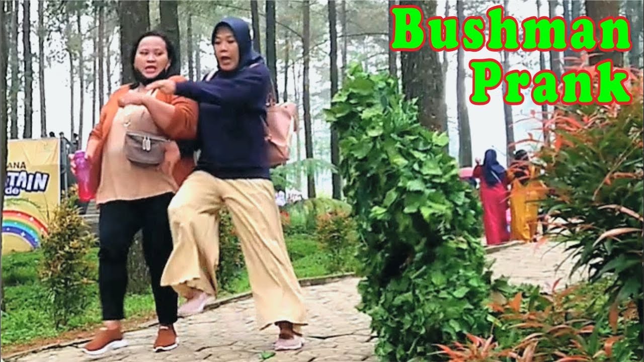 Prank tengil || Bushman prank lucu