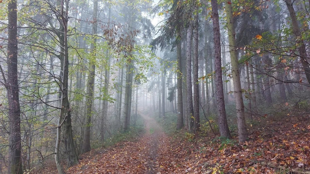 Gloriette kör -Kilátó túra a Soproni hegységben (15 km)