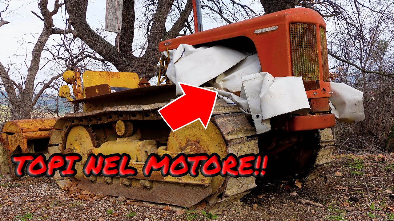 RIMONTIAMO  IL MOTORE DEL CINGOLATO!