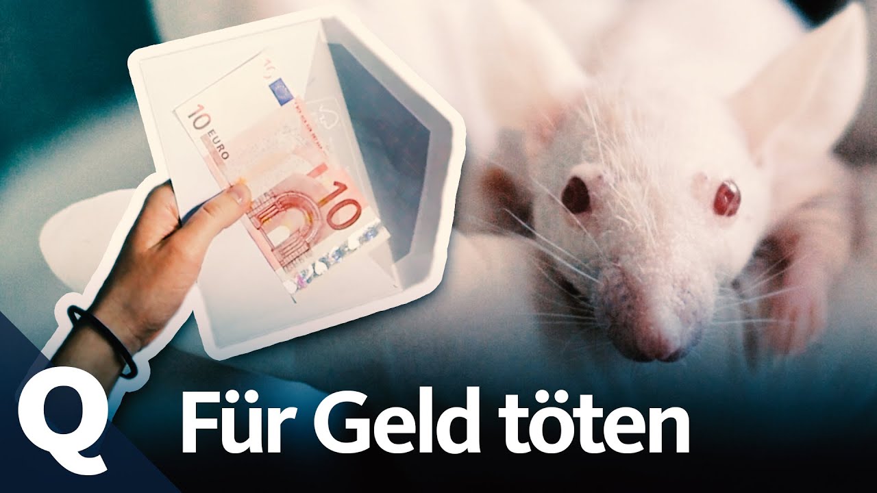 Sozialexperiment: Das machen Menschen für Geld | Quarks