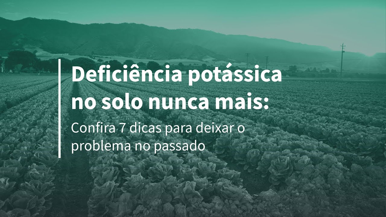 Acabe com a deficiência de potássio no solo com essas 7 dicas