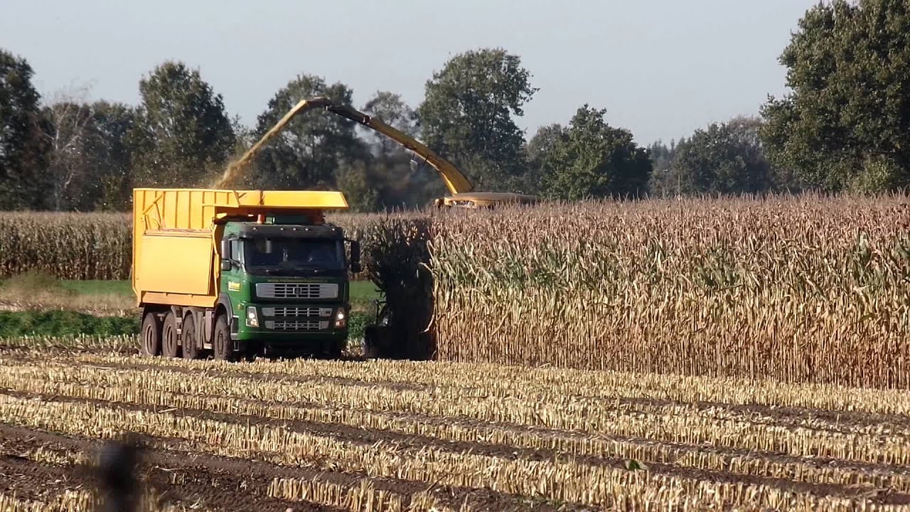 Landbouw-Brabant: Maishakselen met Van Boxmeer