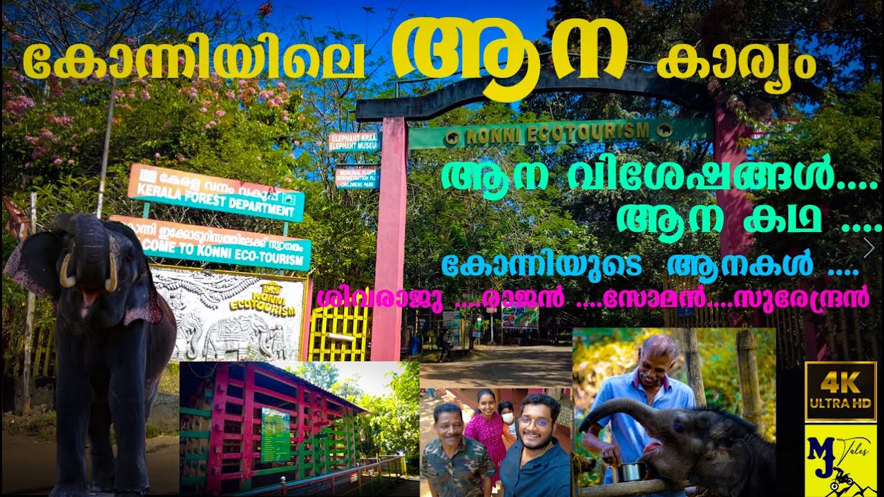 കോന്നിയിലെ ആന കാര്യം |ആനക്കൂട് |Konni|Episode-1|Konni Series|Konni Eco Tourism|Malayalam|MJ Tales