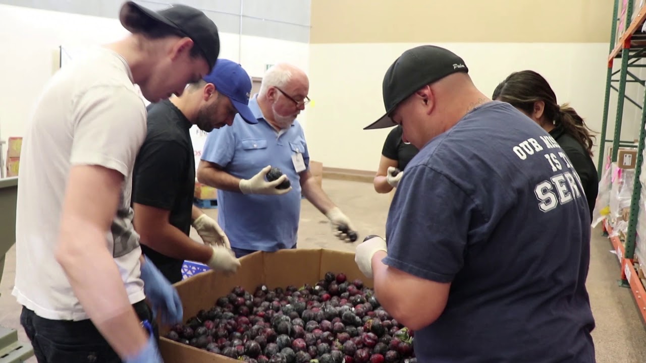 How to volunteer at FIND Food Bank