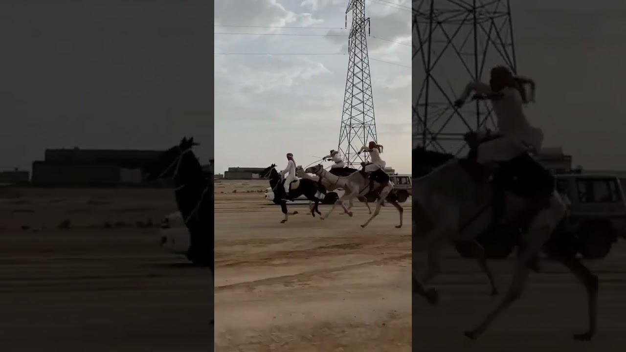 Horse and camel race🐎#camel #horselover #ghoda #horseriding #horseracing