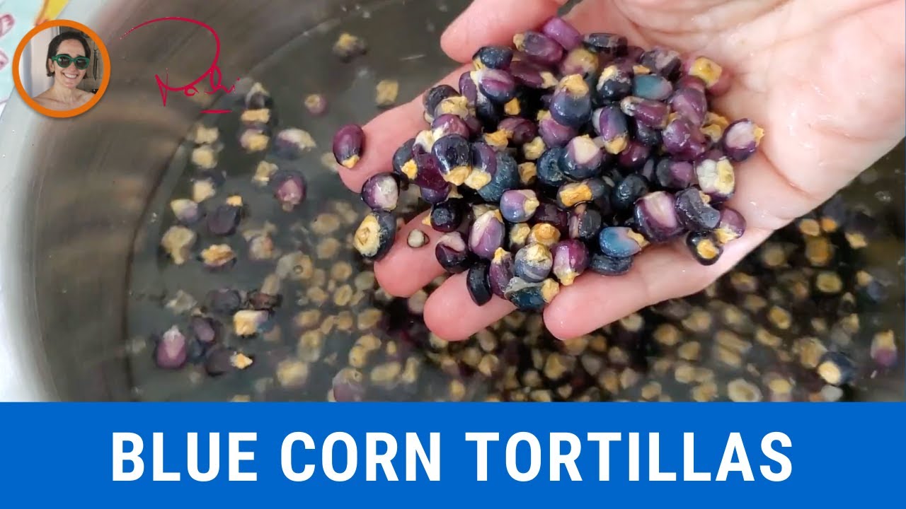 How to Make Blue Corn Tortillas | Blue Corn Arepas & Flatbreads recipes by Chef Pachi