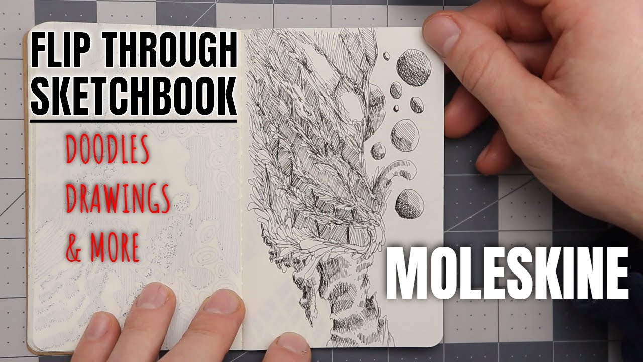 Slow Flip Through My Moleskine Sketchbook - JSheetz Artwork