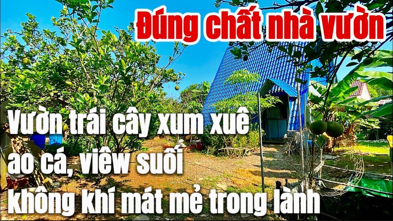 Chuyển nơi khách sống! Chú Hậu nhượng lại căn nhà vườn cây ăn trái viêw suối ao cá sẵn thổ cư Ở BRVT