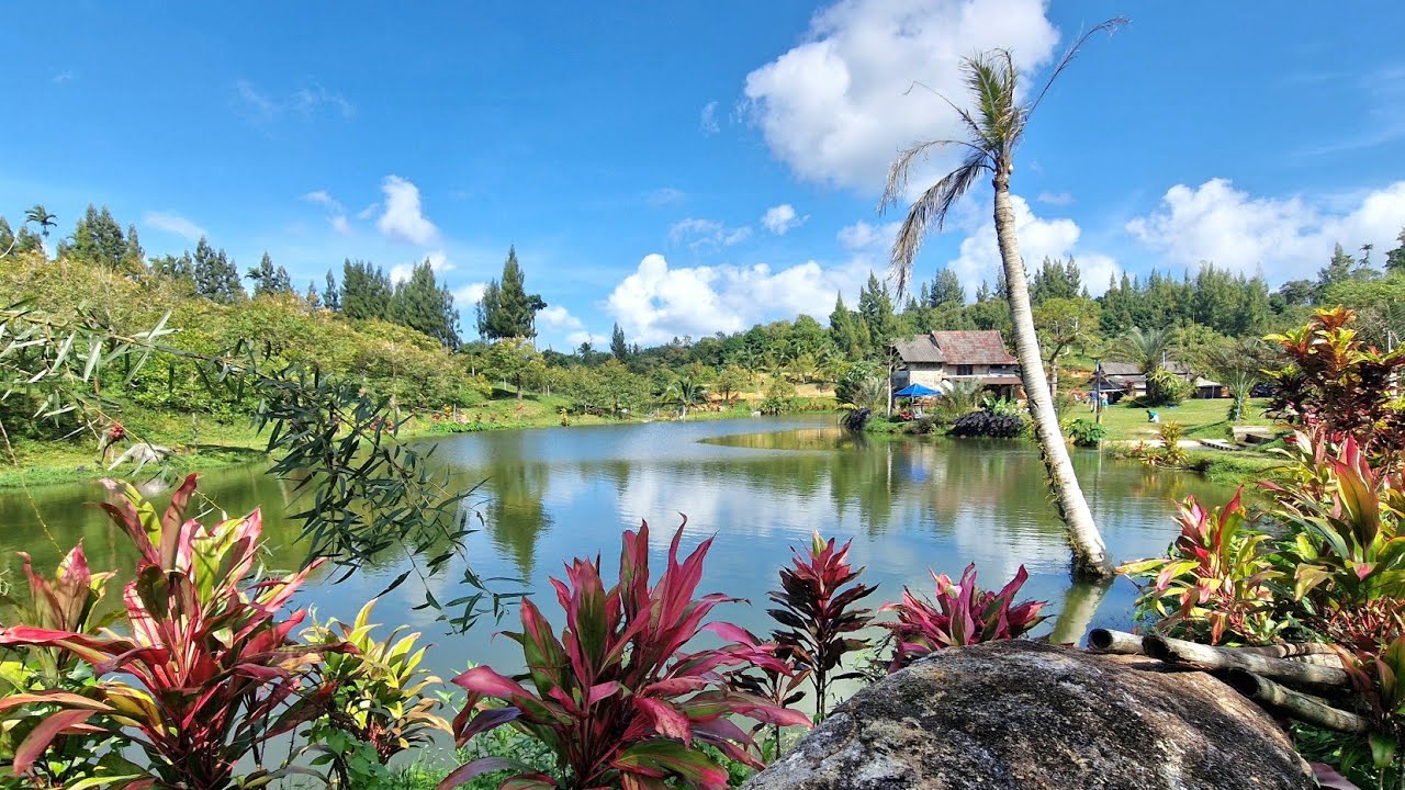 Koh Samui: Suan Sam Anong - Hidden Lake - Giant Summit - Tree Bridge Coffee - Haven Elephant Café
