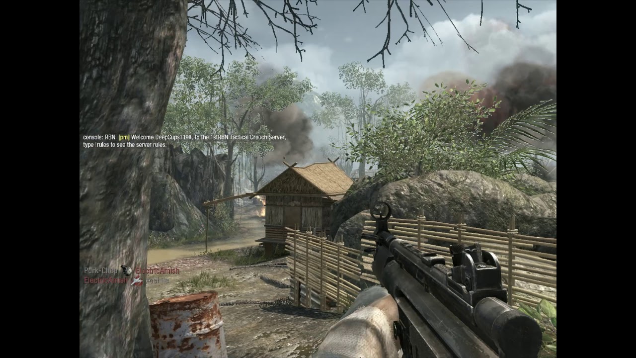 CoD Black Ops 1 PC - Server Found jungle map