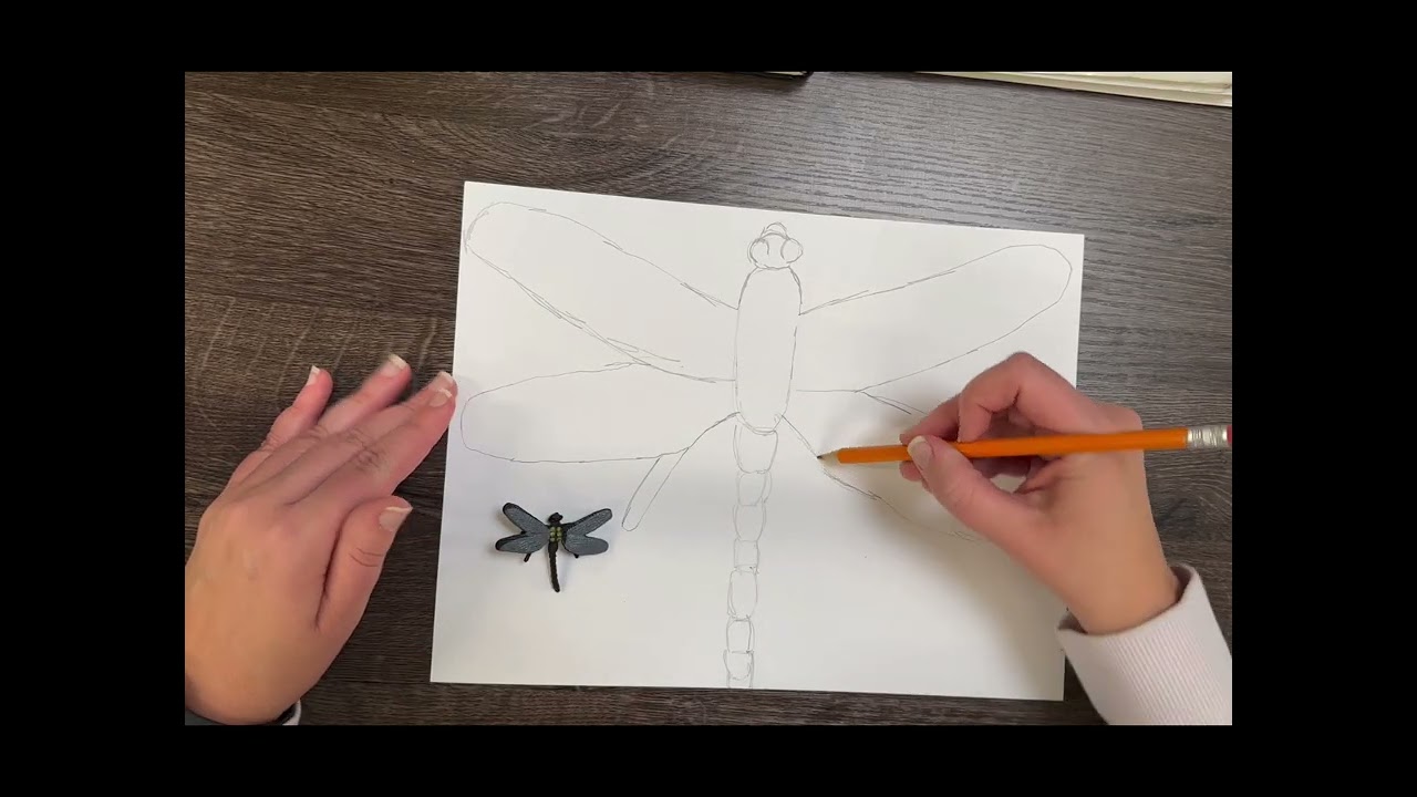 2D Dry Media- skill building with line, shape and space with Bugging Out Illustration. 