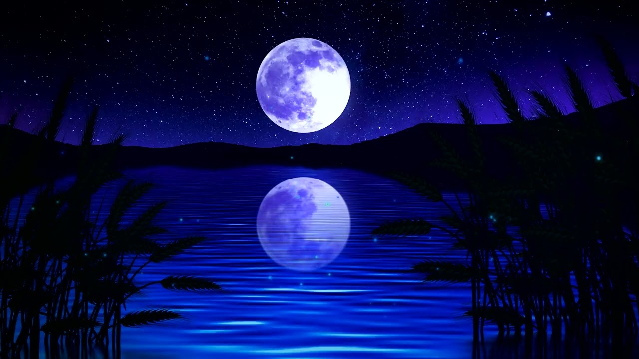 Fall Asleep Now! Gentle Soundscapes for Deep Rest