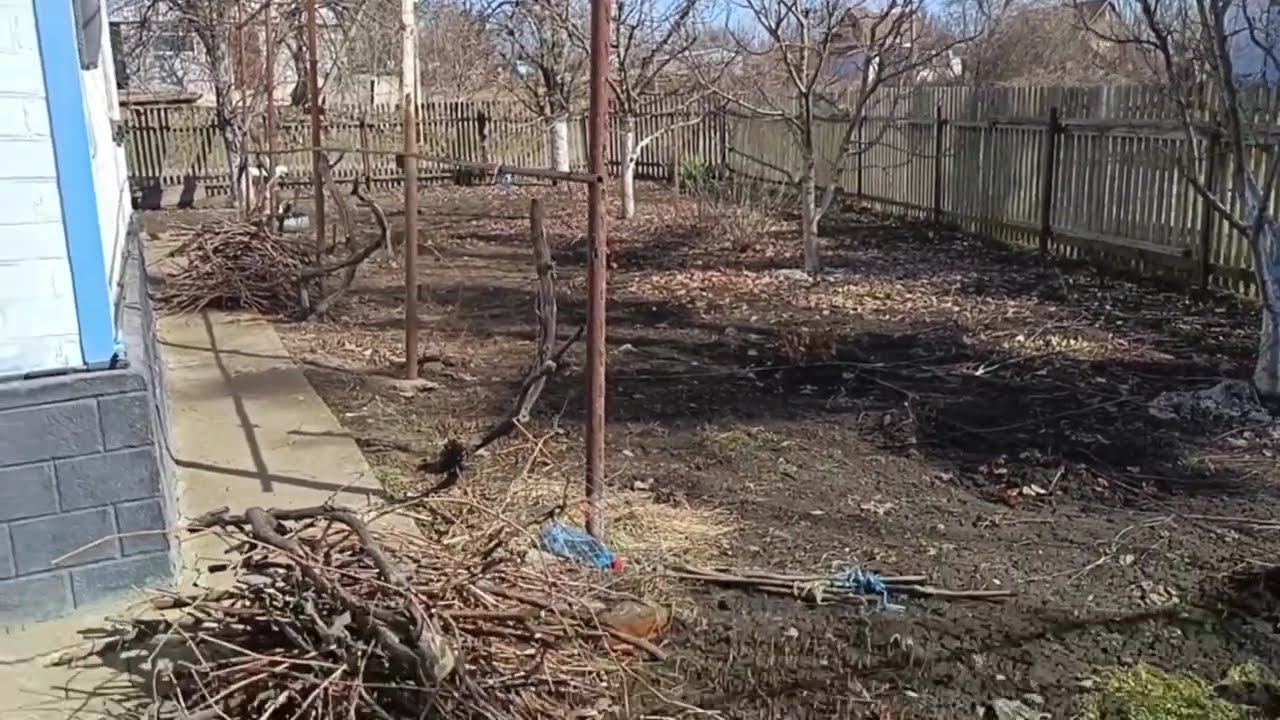 Обрізаємо виноград🍇