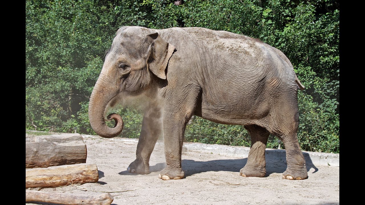 Zoo Ljubljana