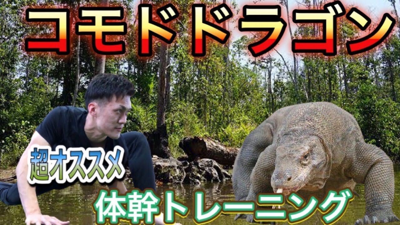 【コモドドラゴン】トカゲの動きで体幹トレーニング！理学療法士がポイント解説