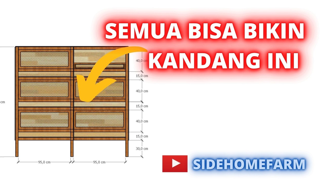 CARA MEMBUAT KANDANG AYAM (DOC)
