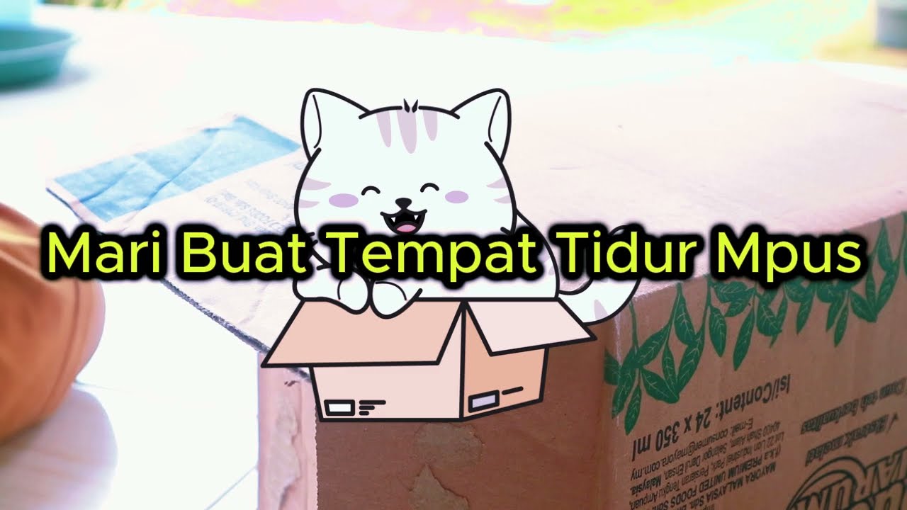 DIY Tempat Tidur Kucing dari Kardus : Kreatif, Murah, dan Viral!